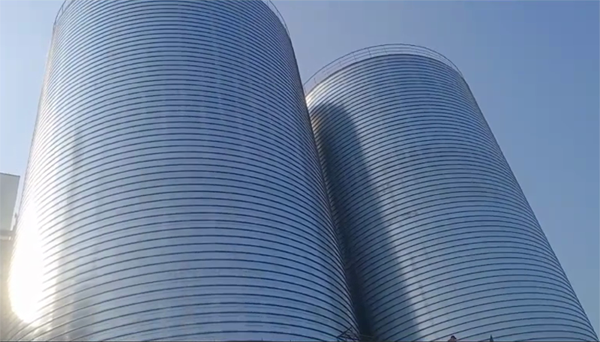 周矶管理区2座混凝土高架卷板仓